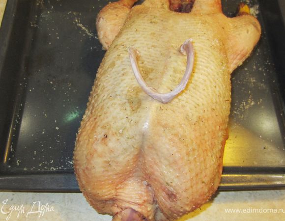 От того, насколько вы тщательно подойдете к процессу приготовления гуся, зависит конечный результат.
Осмотрите птицу. Тщательно удалите максимальное количество перышек или их остатков. У меня ушел почти час на то, чтобы пинцетом вытащить все "колышки".
Удалите весь жир внутри птице на задке. Это легко делается руками. Вытащите все внутренности. У меня там было только сердце. Его желательно тоже удалить.
Вытащите оставшийся кусок трахеи через шею.

А теперь довольно важная процедура, которую практически никто не делает. Дело в том, что кость ключицы мешает правильно нарезать грудку. Для ее удаления поднимите кожу с шеи и обнажите ключицу. Тонким острым ножом аккуратно и не торопясь обнажите кость со всех сторон. Ключица гуся отличается от ключицы курицы и она довольно глубоко уходит в птицу, поэтому аккуратно срезайте мясо, а затем с силой вырвите ключицу. Если у вас шея отрублена удачно (как у меня на фотографии), то с отверстием ничего не надо делать. Если кожа удалена больше - необходимо будет потом зашить это место.