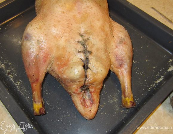 Зашейте брюхо хлопчатобумажной бечевкой.