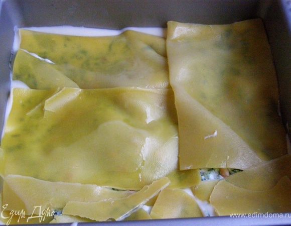 Закроем листами лазаньи