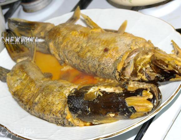 Через 1 час, отливаем в кружку немного бульона, даем остыть до теплого и добавляем желатин, оставляем набухнуть. Когда рыба сварилась, достаем ее на блюдо. 