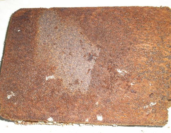 Накрываем ореховым коржом, выкладываем другую половину крема, накрываем вторым маковым коржом. Украшаем по желанию. Отправляем в холодильник на несколько часов.