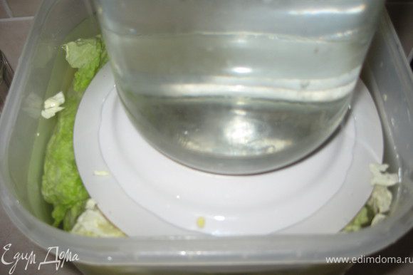 Укладываем плотно капусту в ёмкость и заливаем её рассолом, затем ставим под небольшой гнёт. Емкость должна быть с высоким бортом, потому как капуста даст свой сок и объём рассола увеличиться.