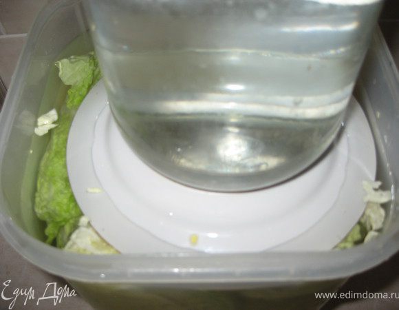 Уложите плотно капусту в емкость, залейте ее рассолом, затем поставьте под небольшой гнет. Емкость должна быть с высоким бортиком, потому как капуста даст сок и объем рассола увеличится.