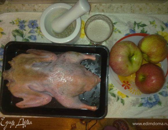 Утку промыть, можно опалить, высушить. В ступке растереть соль перец, сушенные специи и овощи. Натереть утку. Порезать яблоки на четвертинки и начинить утку. Утку положить в жаровню или утятницу и залить пивом.Оставшимися яблоками обложить утку.