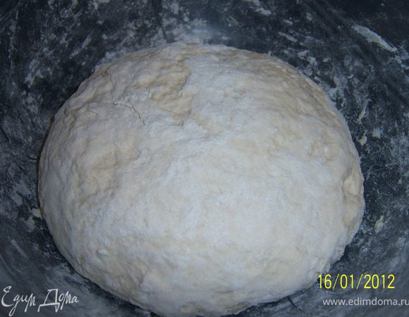 В муку засыпаем дрожжи, перемешиваем, добавляем соль и замешиваем тесто, затем накрываем чашку и кладём в холодильник на 40-50мин.