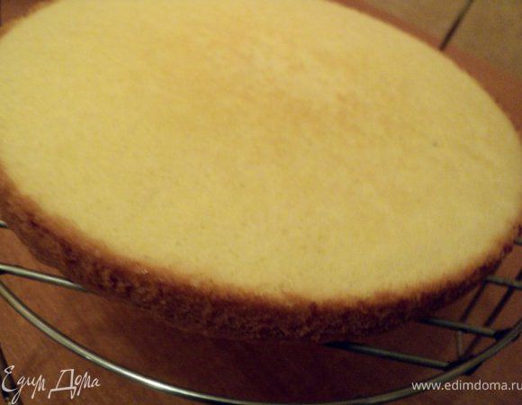 Дно разъемной формы застелить бумагой для выпечки, смазать маслом, вылить тесто.
Выпекать при температуре 170 градусов 15-20мин. Готовый бисквит охладить, перевернув  на  решетку.
