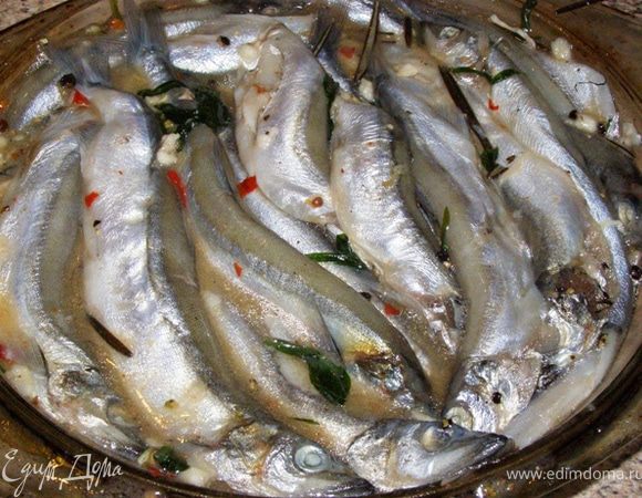 Мойву перемешаем с эстрагоном, розмарином, маринадом и белком