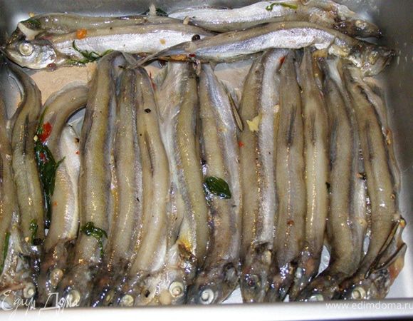 Мойву без маринада выложим в форму