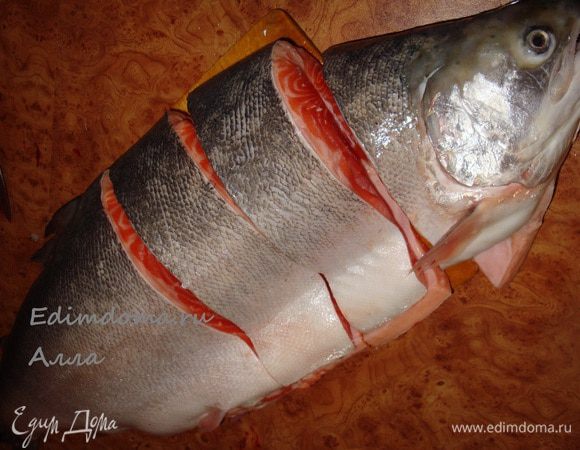 Вот такую рыбку мы поймали (почти 5 кг.)...