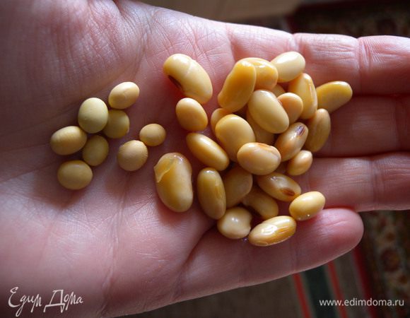 Остудить. После варки она увеличилась раза в три. Думаю, что вместо сои можно и нут, фасоль, чечевицу...