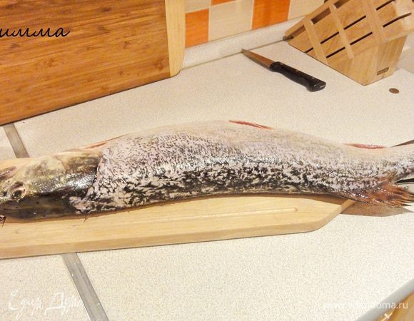 Как разделывать щуку нам уже  рассказала Татьяна Снежинка http://www.edimdoma.ru/recipes/34854
У меня процесс тот же.
Чистим.