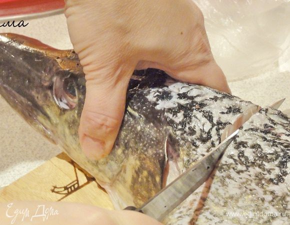 Отрезаем голову, делая надрез по кругу у основания головы.