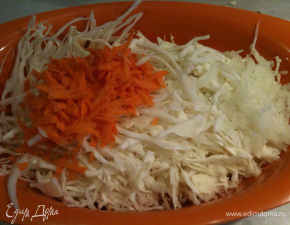 Капусту нашинковать, морковь натереть, лук нарезать очень маленькими кубиками.