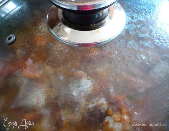 Тушим под крышкой 10-15 минут на медленном огне.Если помидоры не очень сочные,можно добавить немного водички или бульона.