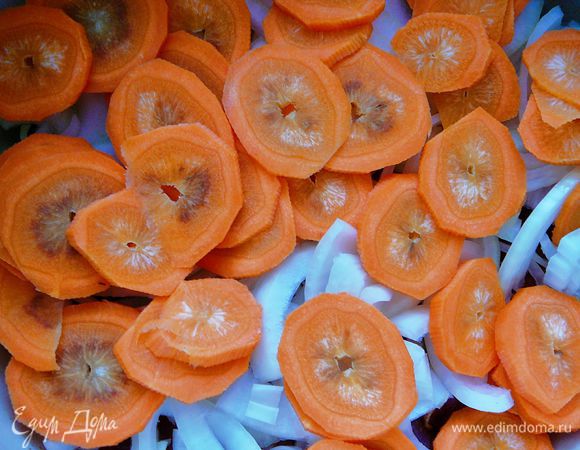 Морковь кружечками.Уложить на лук.