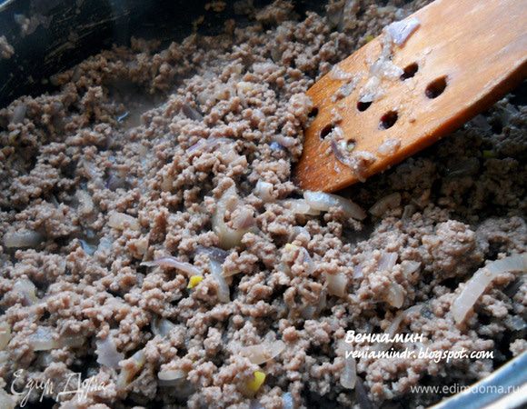 Добавить фарш и продолжать обжаривать, помешивая, пока не потемнеет, при необходимости подливая немного воды. Присолить по желанию. 