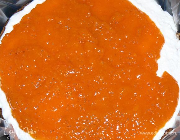 Сборка: В форме на первый корж  выложить творог и дать слегка застыть минут 20 в холодильнике. Затем сверху уложить слой  кураги, использовав ее на 3/4. Следующим слоем - опять творог. Затем  второй корж. Сверху торт залить оставшейся курагой. 