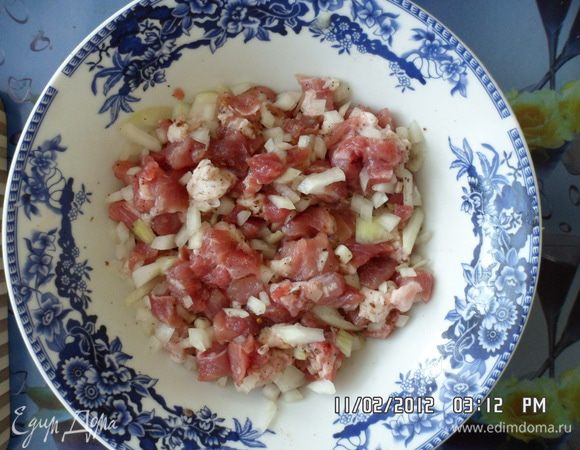 Мясо посолить, приправить специями, добавить к нему лук и немного промариновать.