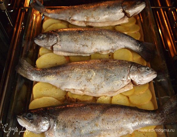 3. Подготовленную рыбу смазать оставшимся сливочным маслом внутри и снаружи, приправить солью и перцем. 
- Вынуть форму из духовки, уложить на картофель рыбу и продолжать запекать под пергаментом 15-20 мин.