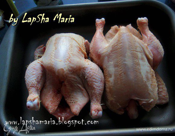 Цыплят очень хорошо помыть, отрезать все лишнее. Обсушить и натереть солью снаружи и внутри.