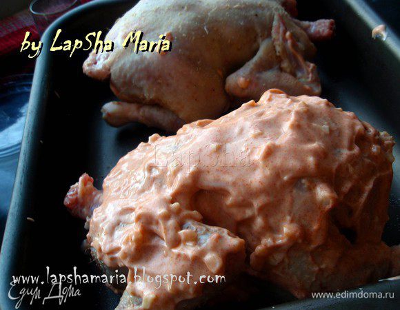 Смазать цыплят получившейся йогуртовой смесью, снаружи и внутри. Поставим цыплят в духовку при температуре 220-230С на 40-50 минут. Я ставлю на режиме "конвенция" + "верх-низ", тогда получается аппетитная золотистая корочка. 