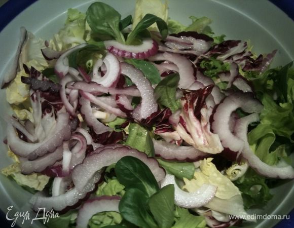 Крымский лук порезать тонкими полукольцами и добавить к миксу салатов...