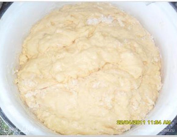 Накрыть полотенцем и поставить в теплое место. Вот тесто подошло в первый раз