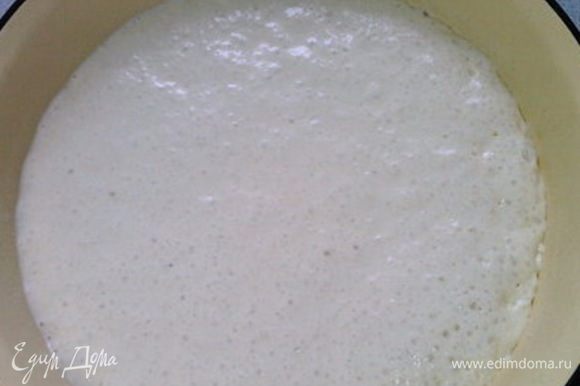 В муку всыпать дрожжи, сахар, перемешать и влить молоко. Замесить тесто и поставить в теплое место на 30 минут.