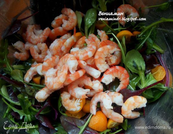 Креветки отварить несколько минут после закипания воды, с добавлением соли и привычных Вам ингредиентов (у меня - лимон), остудить, очистить и соединить с салатом. Выложить на тарелки и оформить нарезанным желе. Подавать немедленно!