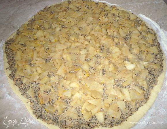 выложила сначала маковую массу,затем яблоки,свернула рулетом,нарезала примерно 1,5 см размером плюшки. Противень застелила пергементом, выложила плюшки,и поставила выпекаться в разогретую духовку 180гр, около 30 минут.