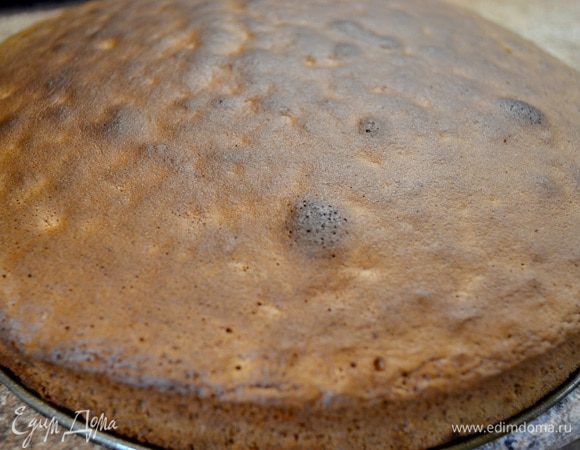 Затем слои аккуратно выложить в смазанную маслом и присыпанную мукой . Выпекать бисквит 25-40 минут в нагретой до 180-200°C духовке.