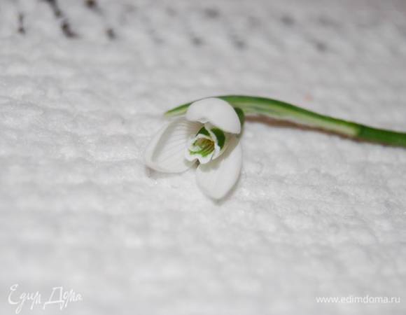 Пока я размещала рецепт, подснежник для Симы распустился и "посмотрел" на меня. Он такой светлый и добрый... Как наша Сима...:)
