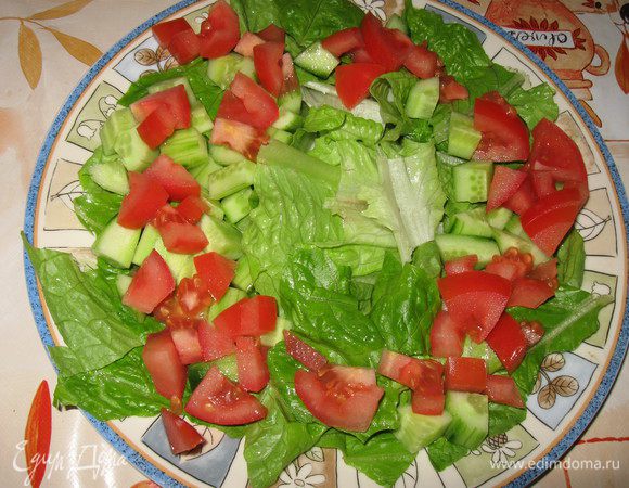 В тарелку порвать листья салата, сверху положить кубики  огурца и  помидора,посолить по вкусу. 