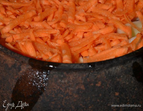 Добавляем специи,корень петрушки,сметану,чеснок...перемешиваем...затем слой лука,слой помидоров,слой капусты,слой морковки,солим,добавляем кусочек слив.масла,чуть кипятка,закрываем и ставим в духовку на 180-200гр,примерно на час,затем перемешиваем и мин.на 10 с обдувом включаю подрумянится.