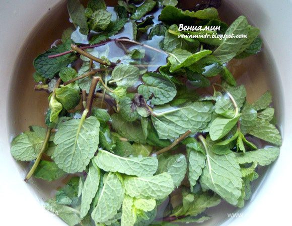 В кастрюле вскипятить воду с сахаром, быстро проварить и снять с огня. Добавить мяту в сироп (по рецепту 2-3 веточки, я увеличил количество в несколько раз), через 5 минут удалить. Вмешать мед, остудить. Перелить в емкость, пригодную для замораживания и убрать в морозильную камеру на 4-5 часов, регулярно (первый час-полтора можно не трогать, затем каждые 30-40 минут) перемешивая массу. ***Рекомендую использовать широкую и не глубокую емкость - быстрее заморозится***. При подаче украсить оклажденным мятным шоколадом.