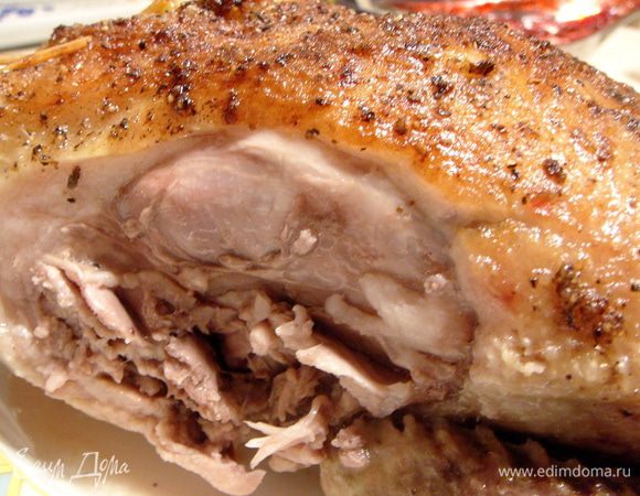 Вот так уточка выглядит в разрезе.