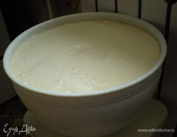 Далеко от теста не отходим. Оно очень активно «пыхти» и норовит вылиться из посуды. Мы его периодически осаживаем, т.е. перемешиваем, чтобы оно опустилось.