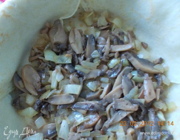 выкладываем грибы