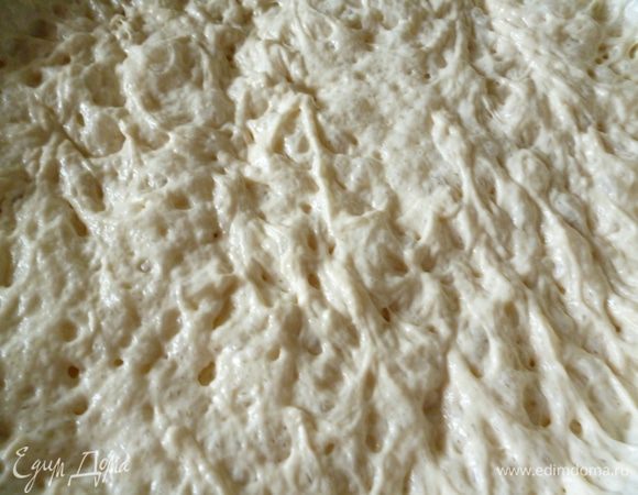 Снимаем пленку. Вот такая опара получается.