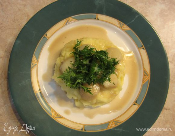 Выложите посередине тарелки теплое картофельное пюре. Выложите сверху гребешки. Сверху гребешков выложите несколько веточек салата, предварительно смоченного в лимонном соке. Полейте ложкой соус кругами на всё блюдо. Посыпьте сверху черным перцем и сбрызните оливковым маслом.