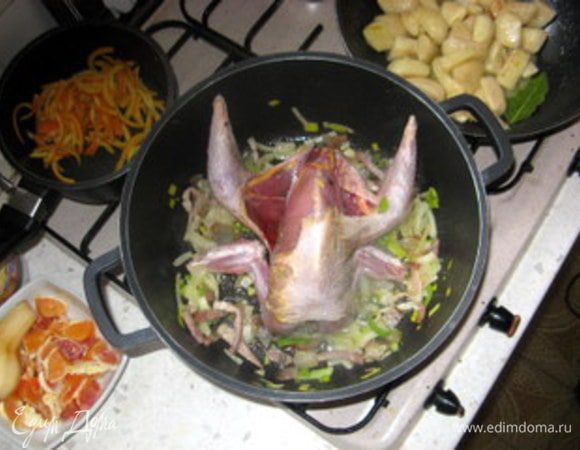 Посолить, поперчить фазана. Добавить фазана и обжарить со всех сторон. (затем полагается его достать и связать,но я не стала).


