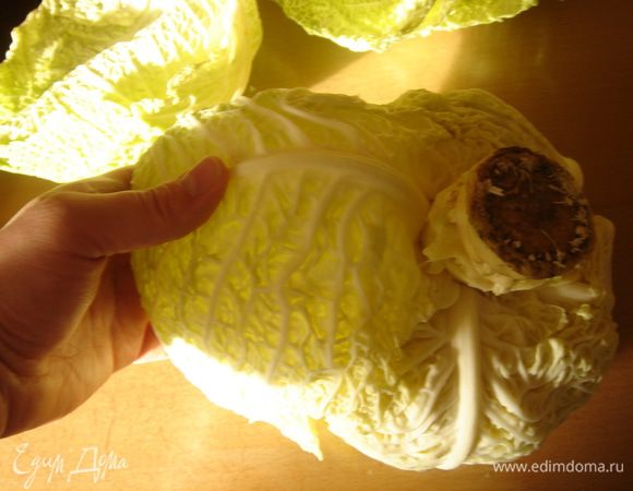 Подрезать капусту ножом у кочерыжки.Аккуратно снять листы.