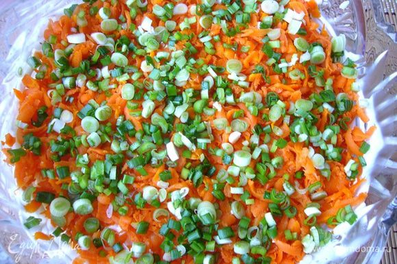 Морковь натираем на тёрке, укладываем на рис. Посыпаем тонко порезанным (вместе с белой частью) зелёным луком.