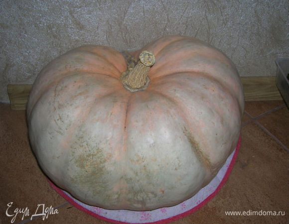 Взять небольшую тыкву