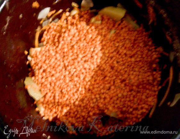 Добавить чечевицу, залить все бульоном и варить около 20 минут. 