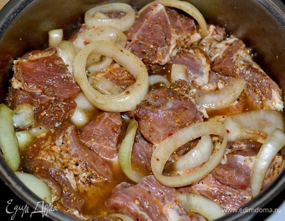 Мясо свинины нарезаем на кусочки,лук кольцами,посыпаем специями для шашлыка,оставляю на 3часа,затем добавляю пива на 30мин.