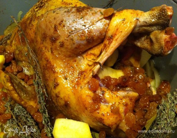 выкладываем на лук обжаренную птицу, яблоки чистим, снимаем кожуру, разрезаем на 4 части, обкладываем птицу, часть кладем вовнутрь. Чеснок целиком и не чистя (это важно) кладем тоже вовнутрь. Предварительно замоченный или просто промытый изюм кладем внутрь птицы и вокруг.  
