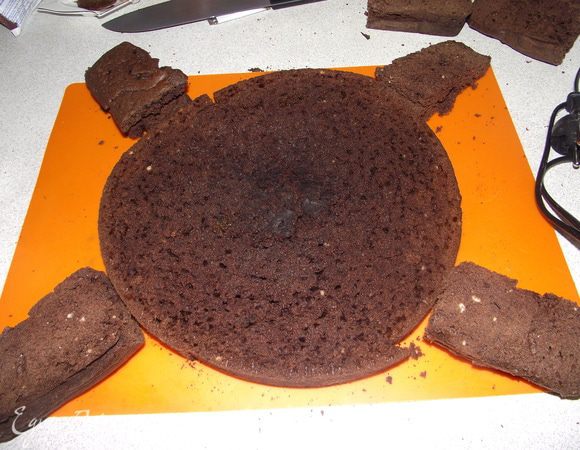 Я выпекала в круглой форме D= 28 см + форма буханка. Круглый бисквит разрезать, это будет основа. Бисквит в виде хлеба разрезать на 4 части. Эти маленькие части разрезать ещё на три. Выложить вот так: