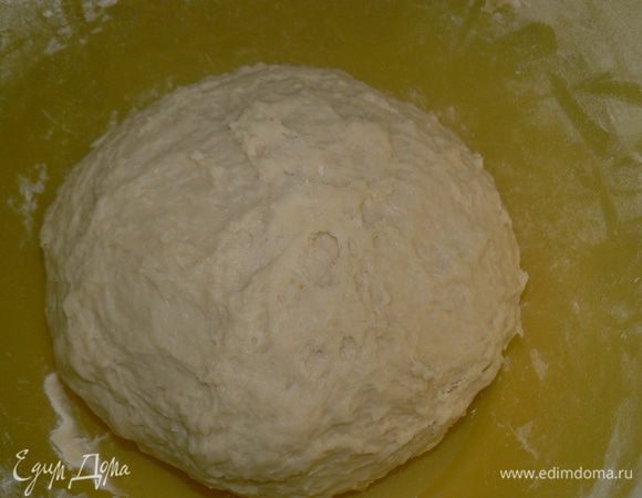 Замесить тесто. Если тесто остается липким, то можно добавить немного муки. Положить тесто в смазанную маслом миску. Накрыть и оставить на час.