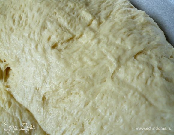 Подготовить противни для выпечки:выстилаем бумагой и слегка смазываем растительным маслом.Через полтора часа тесто подошло вот так.